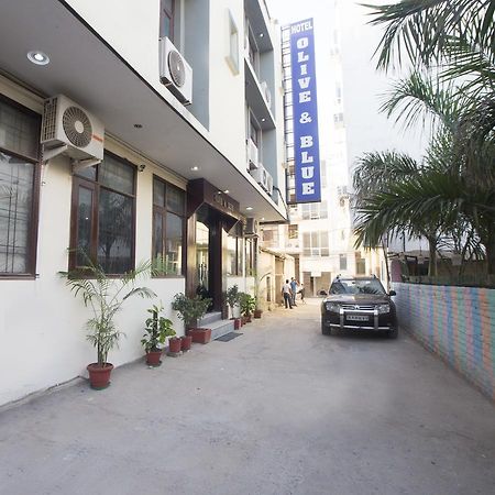 Hotel Olive & Blue - Govt Approved Hotel Near Delhi Airport Nowe Delhi Zewnętrze zdjęcie
